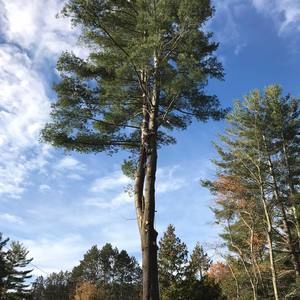 Meet your Posher, Jim